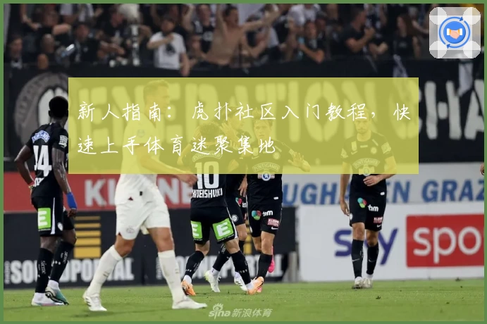 新人指南：虎扑社区入门教程，快速上手体育迷聚集地