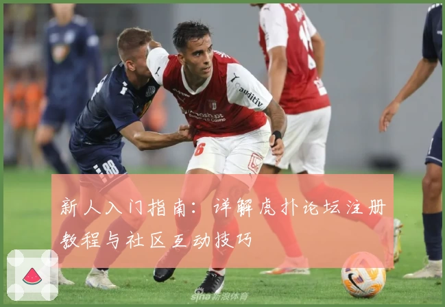 新人入门指南:详解虎扑论坛注册教程与社区互动技巧