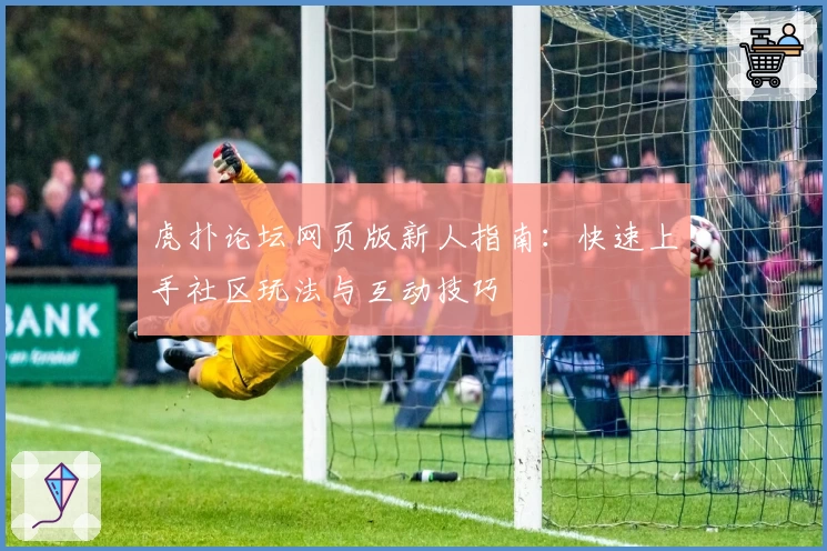 虎扑论坛网页版新人指南：快速上手社区玩法与互动技巧