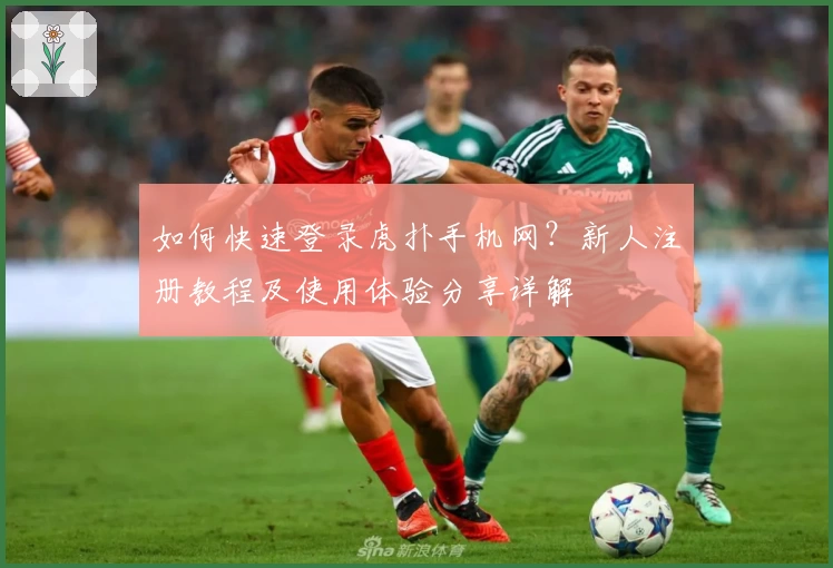 如何快速登录虎扑手机网？新人注册教程及使用体验分享详解